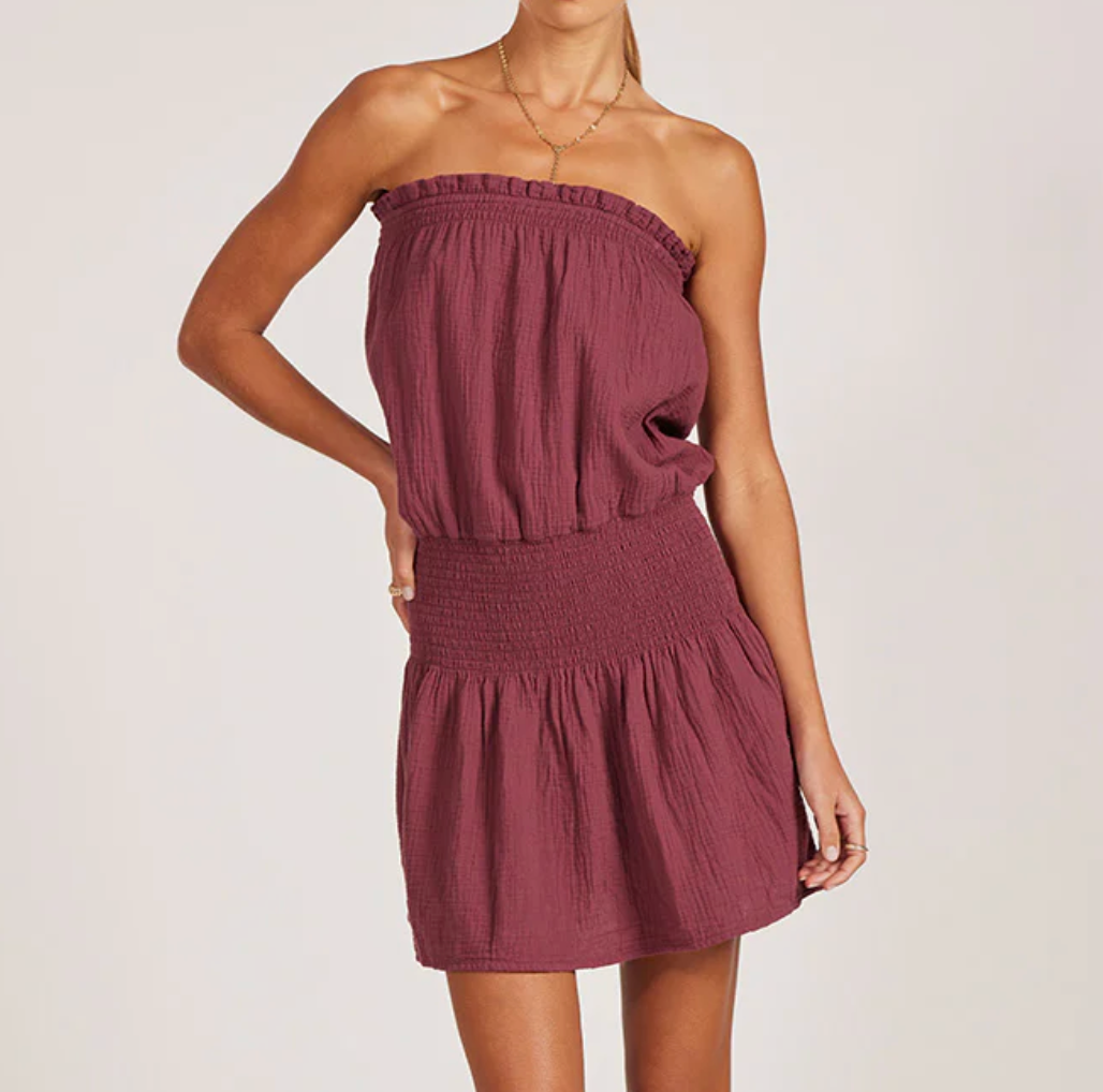 Allia Tube Dress
