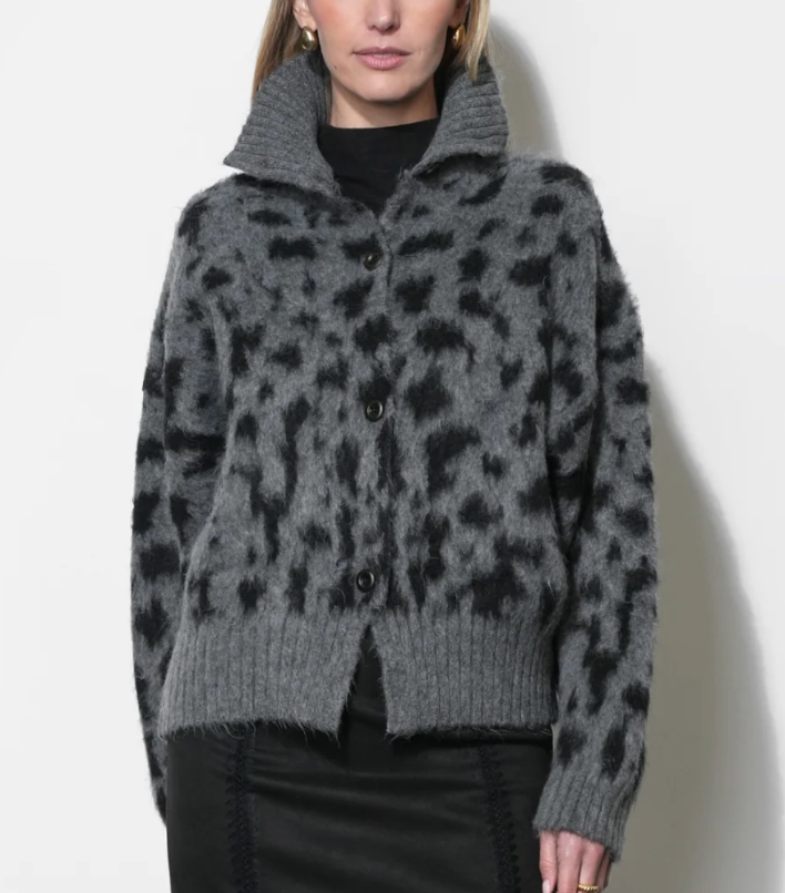 Paloma Cardi